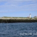lighthouse_island_seal_machias_h_2284_can0990.jpg